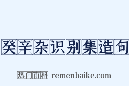癸辛杂识别集造句是什么意思的图片